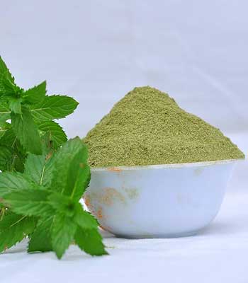 dried-mint-leaves-powder